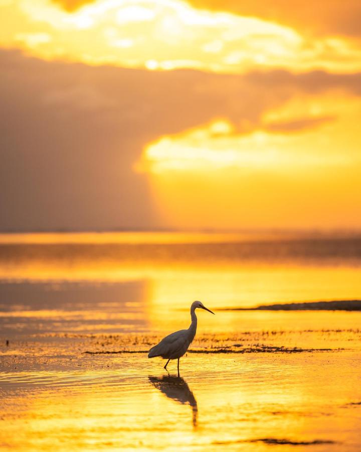 Hakuna Majiwe Beach Lodge Paje Buitenkant foto
