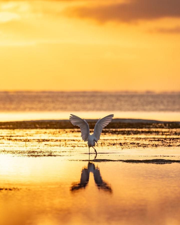 Hakuna Majiwe Beach Lodge Paje Buitenkant foto