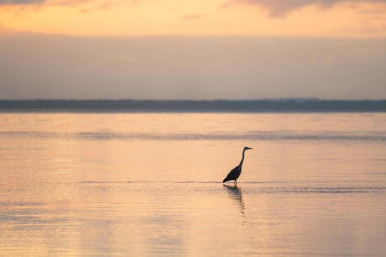 Hakuna Majiwe Beach Lodge Paje Buitenkant foto